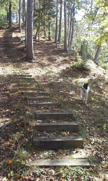 River Dune Campground Picture 7