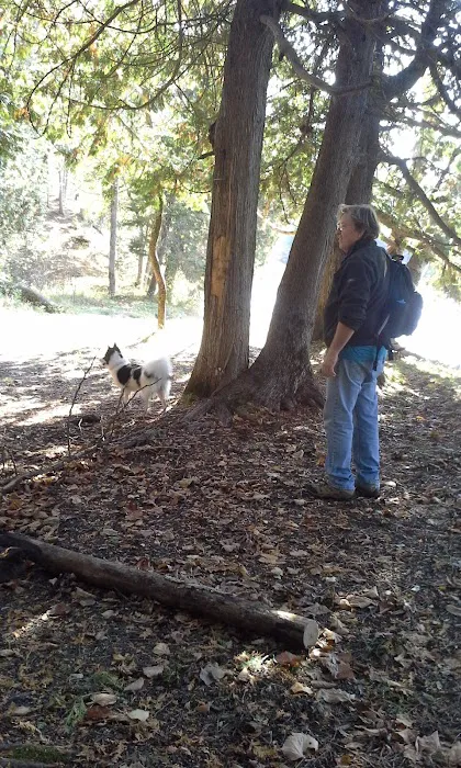 River Dune Campground Picture 5