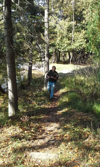 River Dune Campground Picture 6
