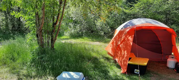 Au Sable Loop Campground and Day Use Area Picture 3