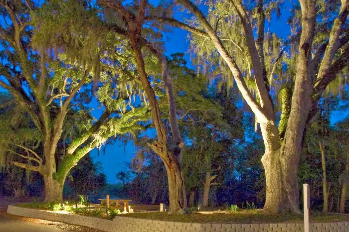 Live Oak Landing Picture 10