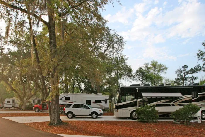 Live Oak Landing Picture 6
