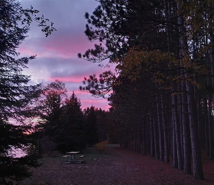 Meadow Springs Campground Picture 3