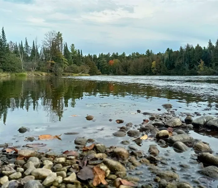 Meadow Springs Campground Picture 1