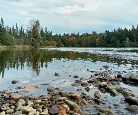 Meadow Springs Campground