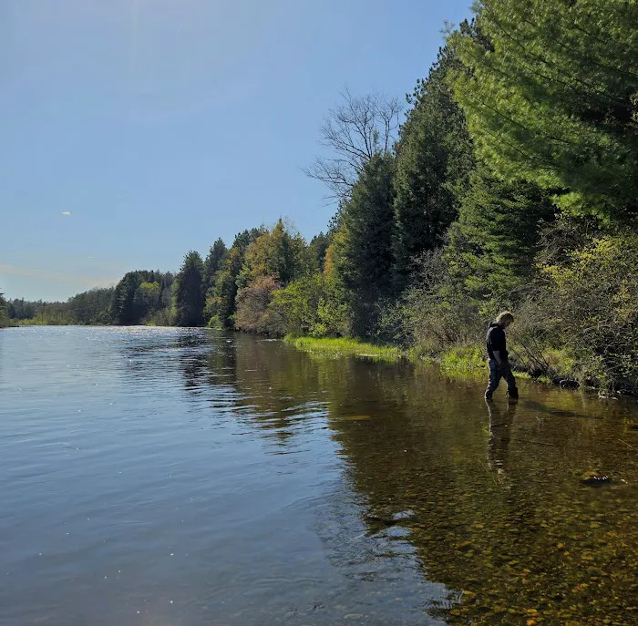 Meadow Springs Campground Picture 10