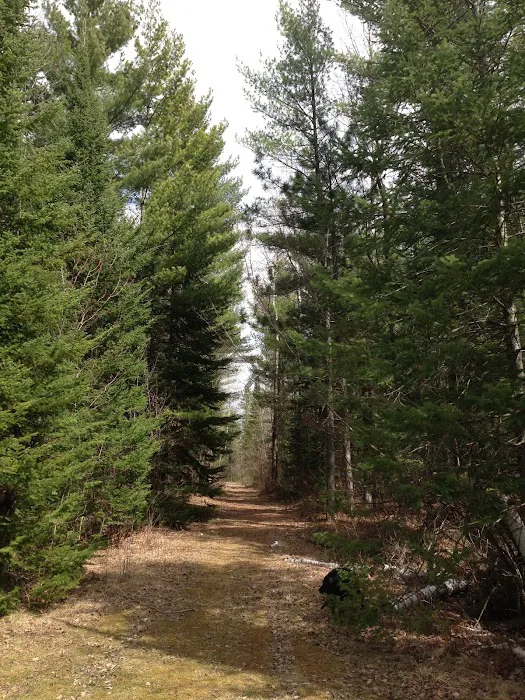 Lakewood Campground Picture 10