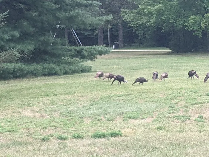 Lakewood Campground Picture 6