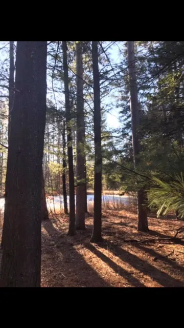Lakewood Campground Picture 9