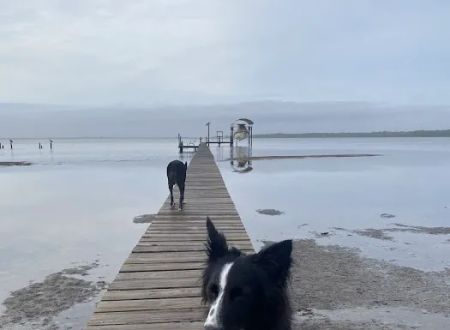 The Bay Getaway