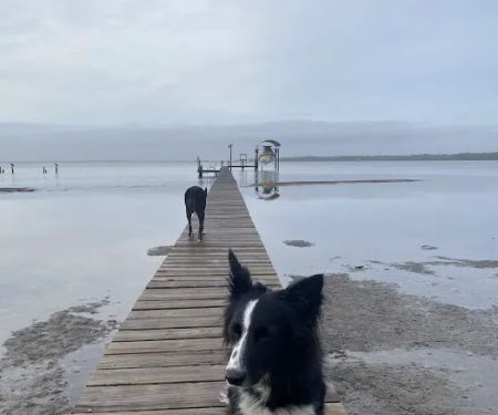 The Bay Getaway