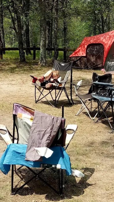 Muskrat Lake State Forest Campground Picture 7