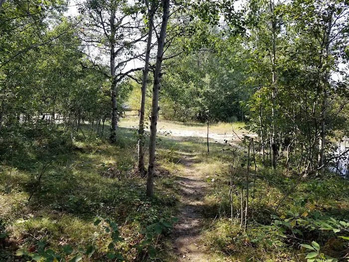 Muskrat Lake State Forest Campground Picture 9