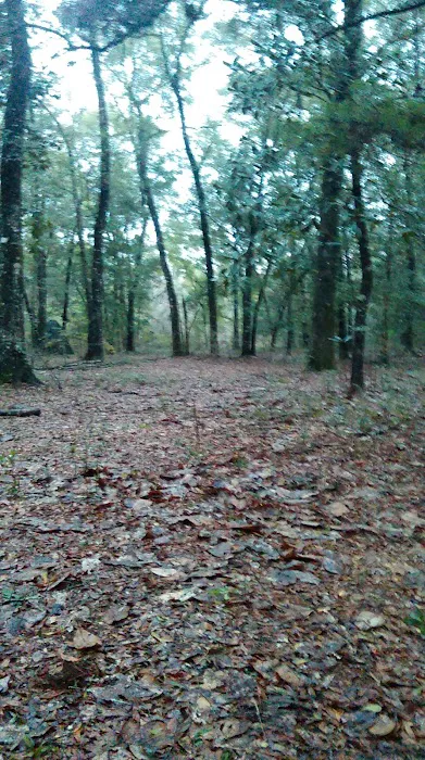 Peach Creek RV Park Picture 8
