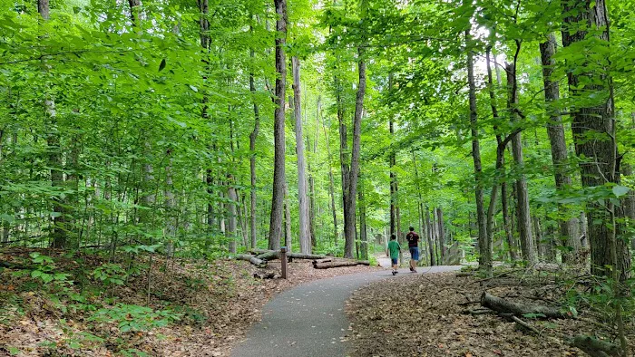 Hartwick Pines State Park Campground Picture 2