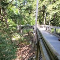 Hartwick Pines State Park Campground ico