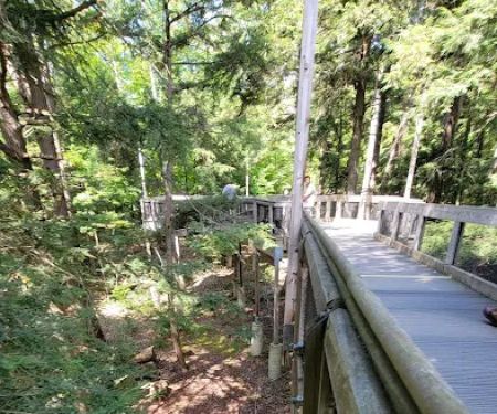 Hartwick Pines State Park Campground