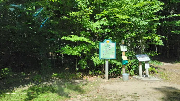 Hartwick Pines State Park Campground Picture 8