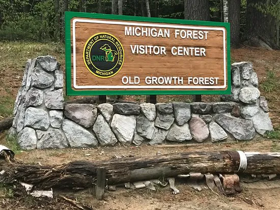 Hartwick Pines State Park Campground Picture 9