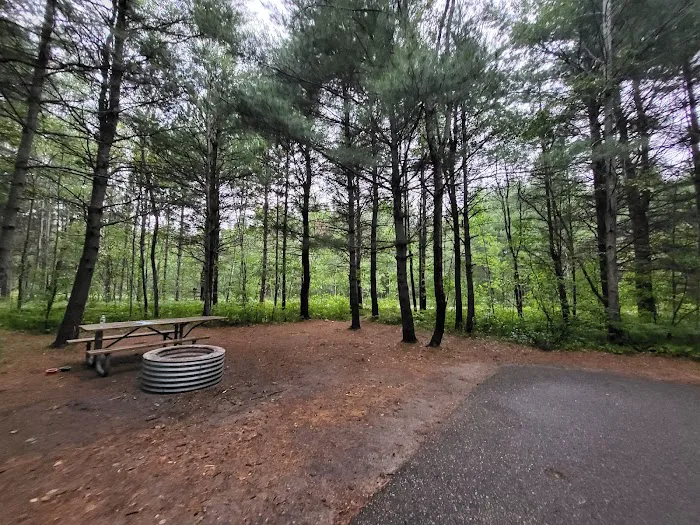 Hartwick Pines State Park Campground Picture 5