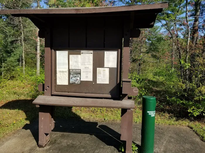 Jones Lake State Forest Campground Picture 3