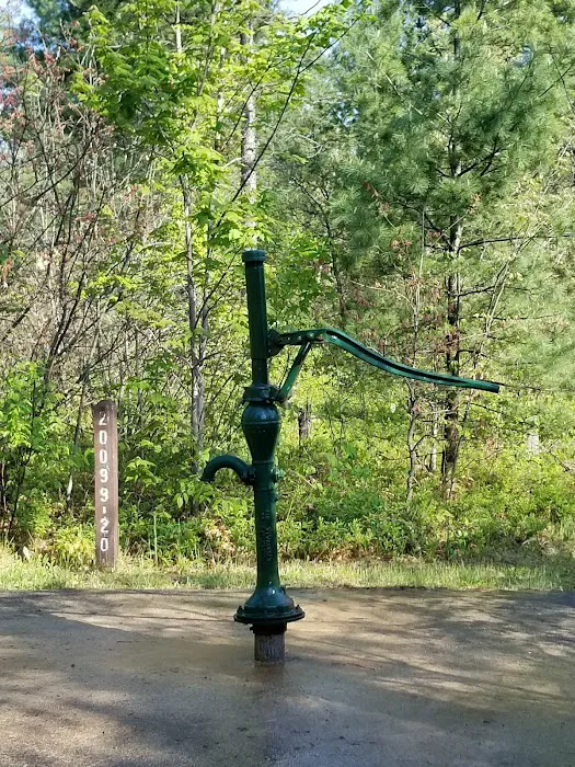 Jones Lake State Forest Campground Picture 2