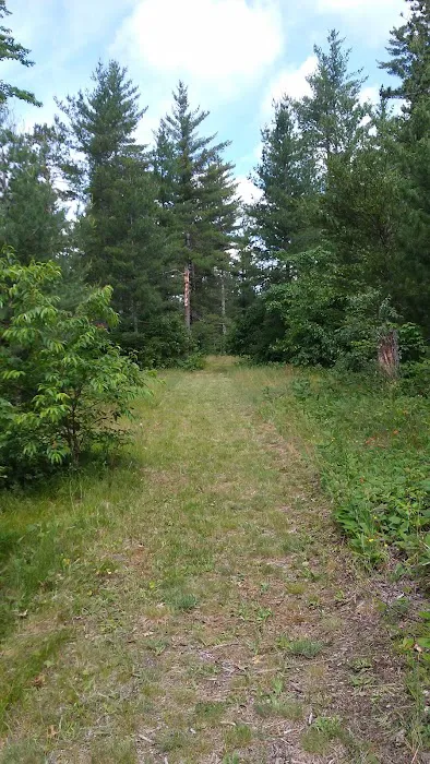Jones Lake State Forest Campground Picture 8