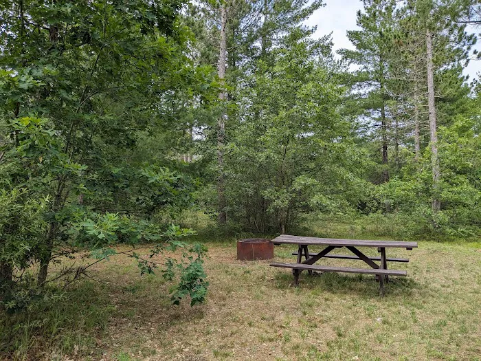 Jones Lake State Forest Campground Picture 7