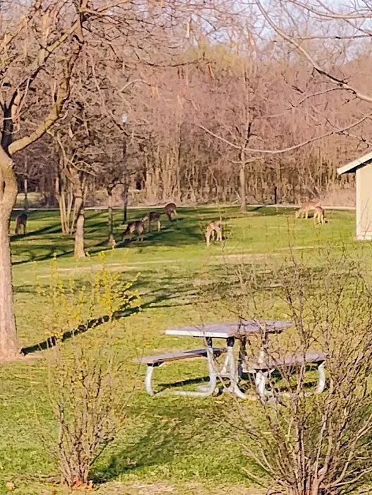 Camp Shabbona Woods Picture 5