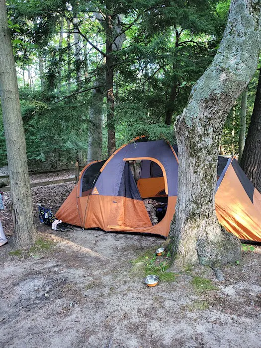 Stony Haven Campground & Cabins Picture 10