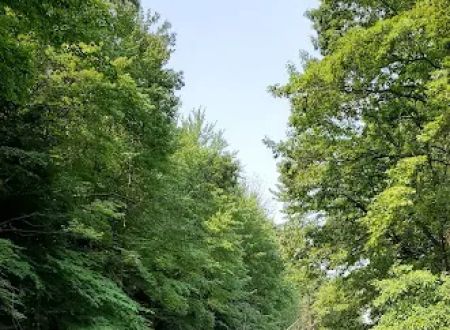 Stony Haven Campground & Cabins