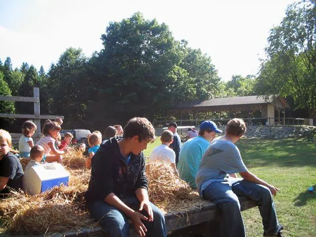 Holiday Camping Resort Picture 6