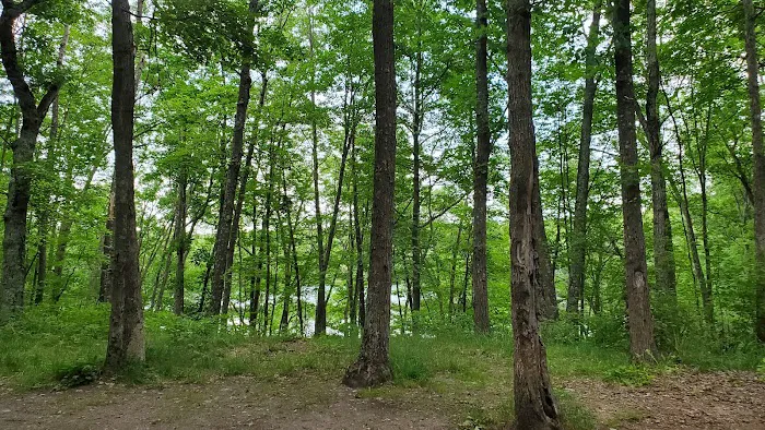 Whelan Lake Area Picture 3