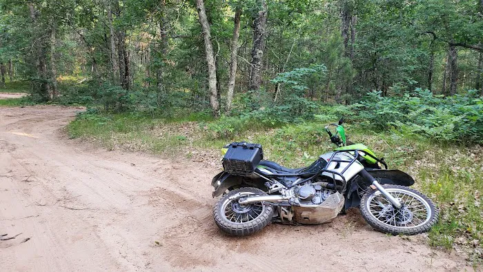Whelan Lake Area Picture 6