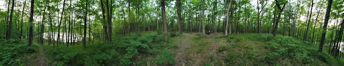 Whelan Lake Area Picture 1