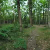 Whelan Lake Area ico