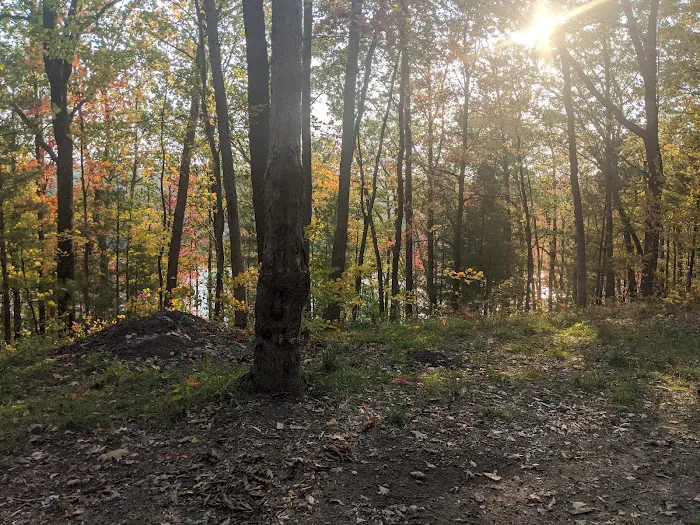 Whelan Lake Area Picture 5