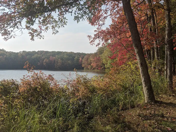Whelan Lake Area Picture 9