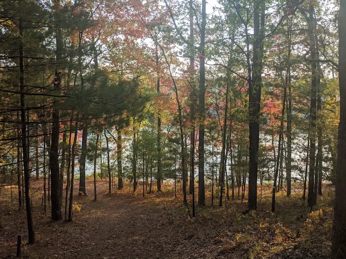 Whelan Lake Area Picture 7