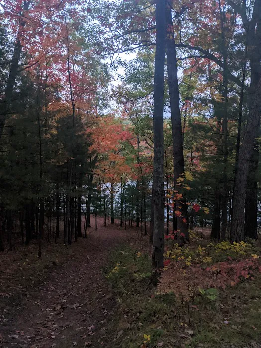 Whelan Lake Area Picture 8
