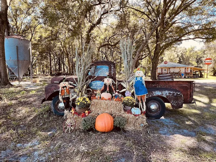 Rustic Oaks RV Park, LLC Picture 8