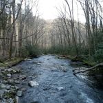 Backcountry Campsite #71