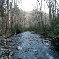 Backcountry Campsite #71 ico