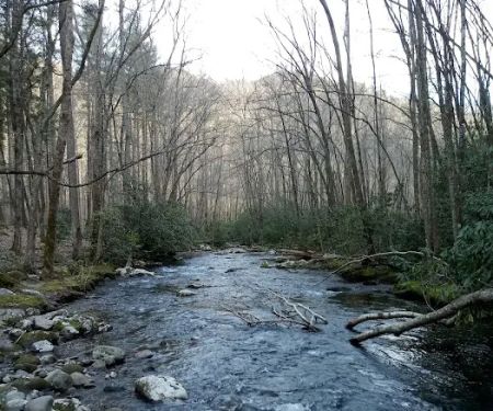 Backcountry Campsite #71