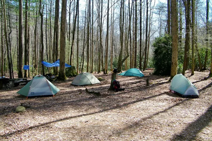 Backcountry Campsite #71 Picture 9