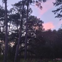 Edgewater mobile home park ico