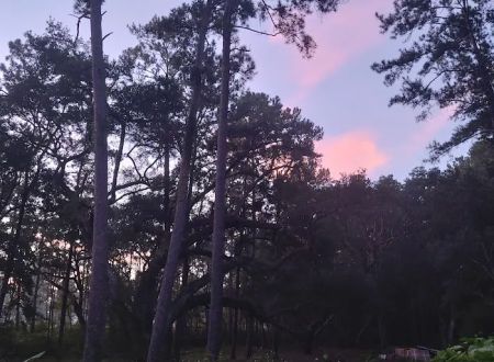 Edgewater mobile home park