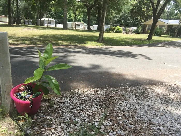 Rose Creek Mobile Home Park Picture 9