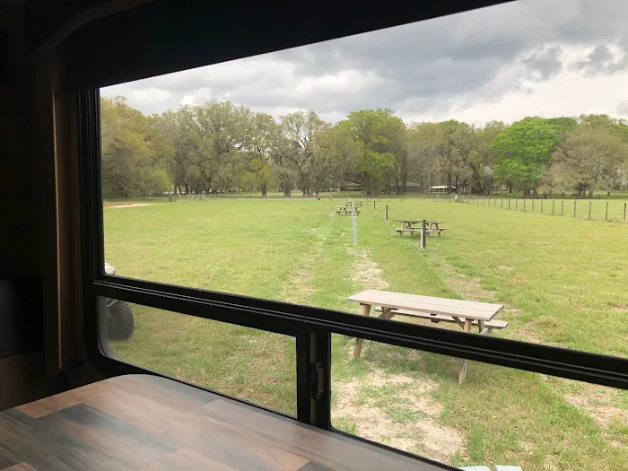 Red Rooster RV Park Picture 5