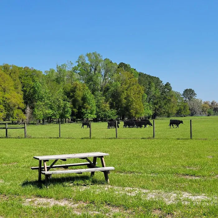 Red Rooster RV Park Picture 2